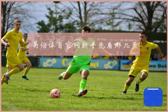 易倍体育官网新手先看哪几页